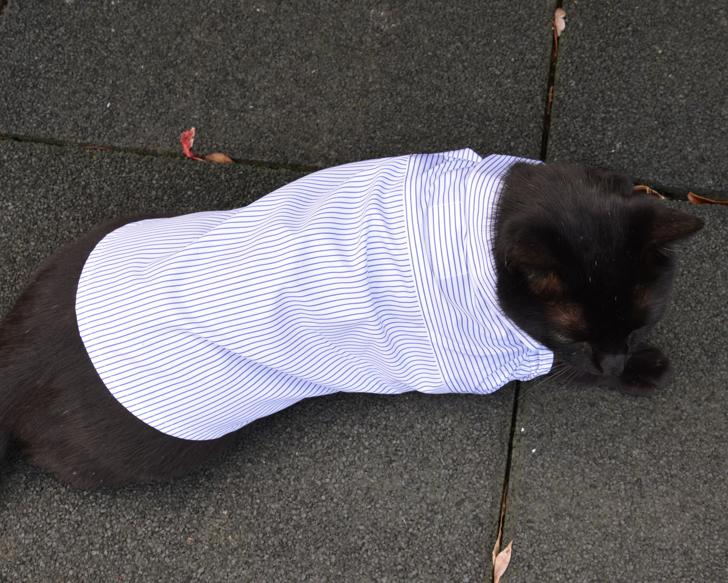 Handmade pet shirt - Nicolas Rota