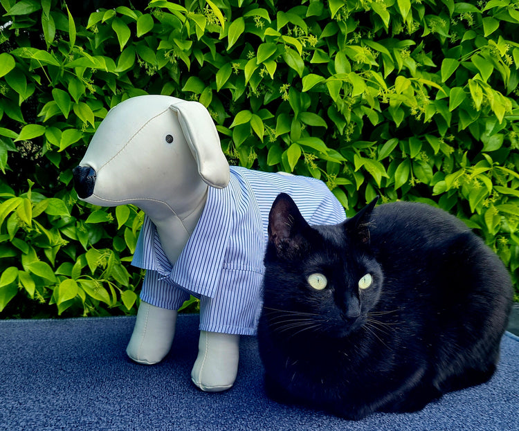 Luxury handmade pet shirt for dogs and cats in premium Italian fabric by Nicolas Rota