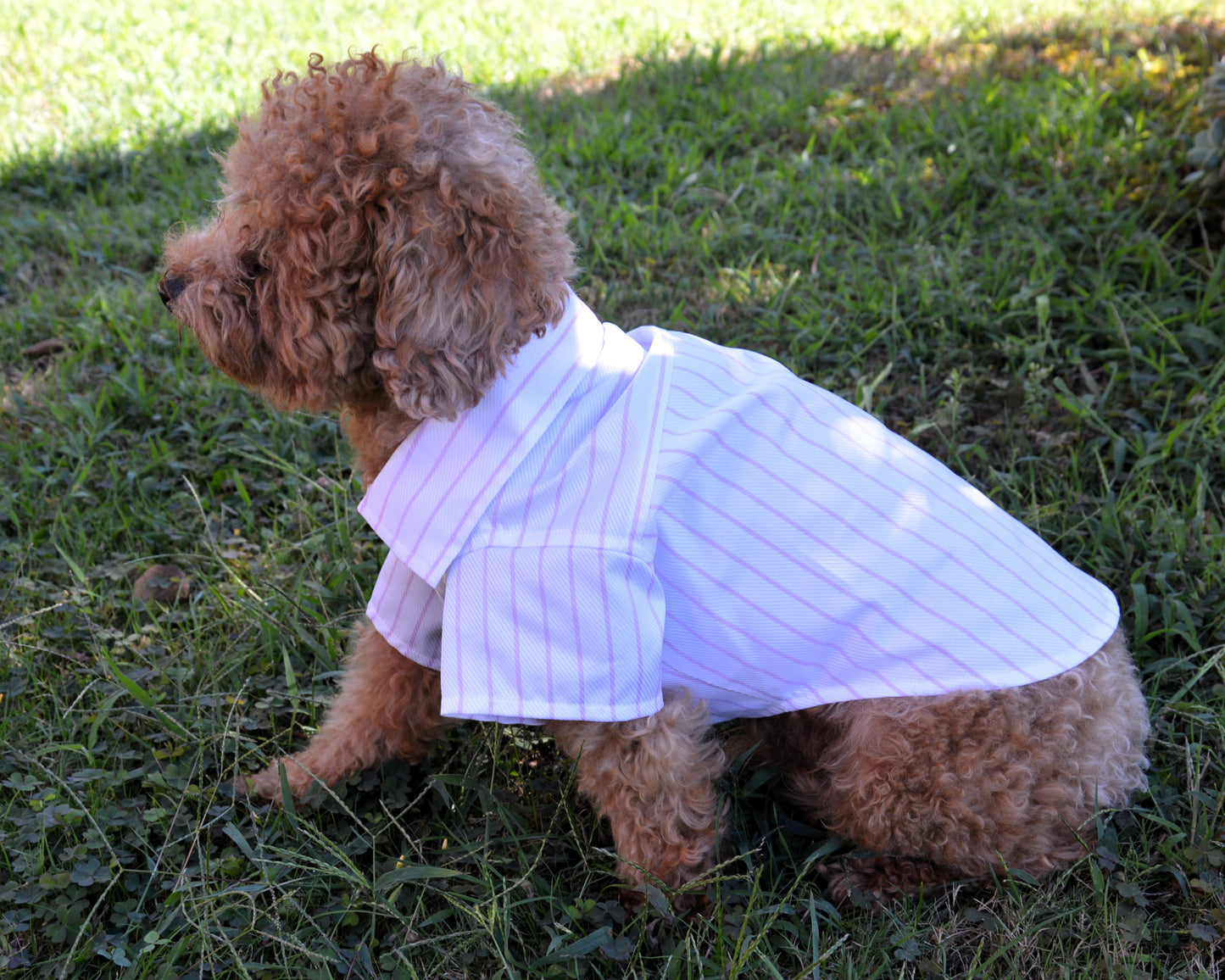 Camicia artigianale per cane