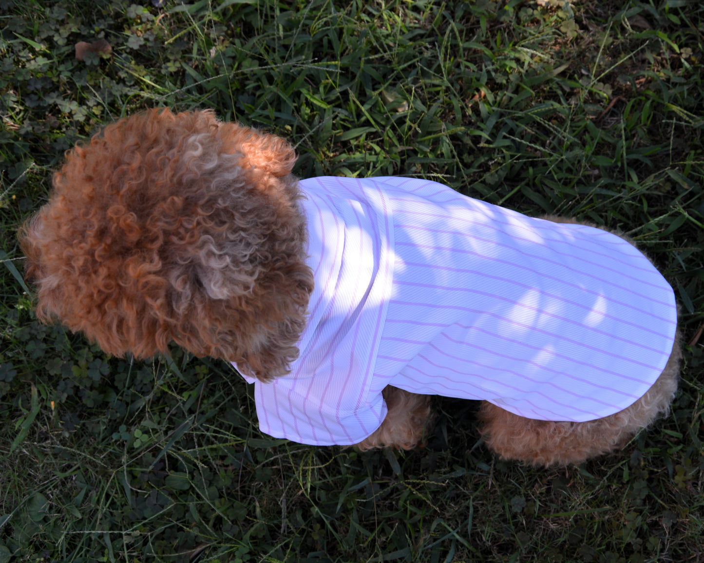 Camicia artigianale per cane