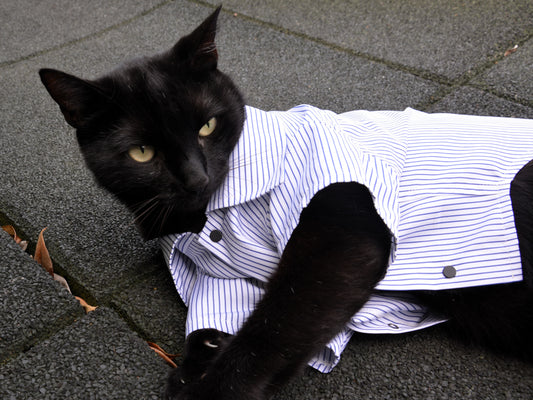 Camicia artigianale per gatto