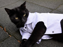 Load image into Gallery viewer, Handmade cat shirt
