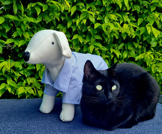 Customise your pet shirt